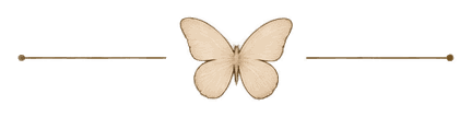 Butterfly divider